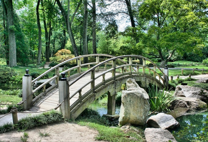 Blooming Garden